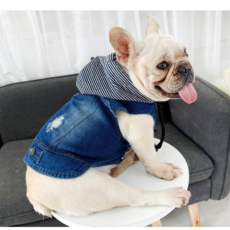 ciffer Indgang Kompatibel med Designer Denim Jacket Hooded French Bulldog Jeans Coat – Frenchie Blue